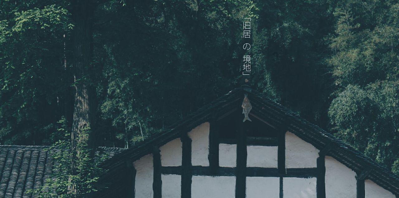 伊森卡特的消失